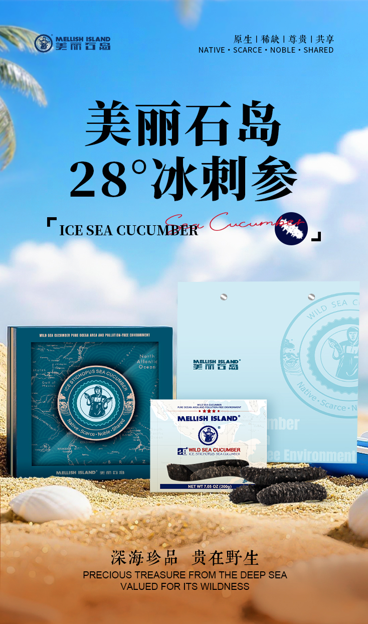 美丽石岛28°野生冰刺参