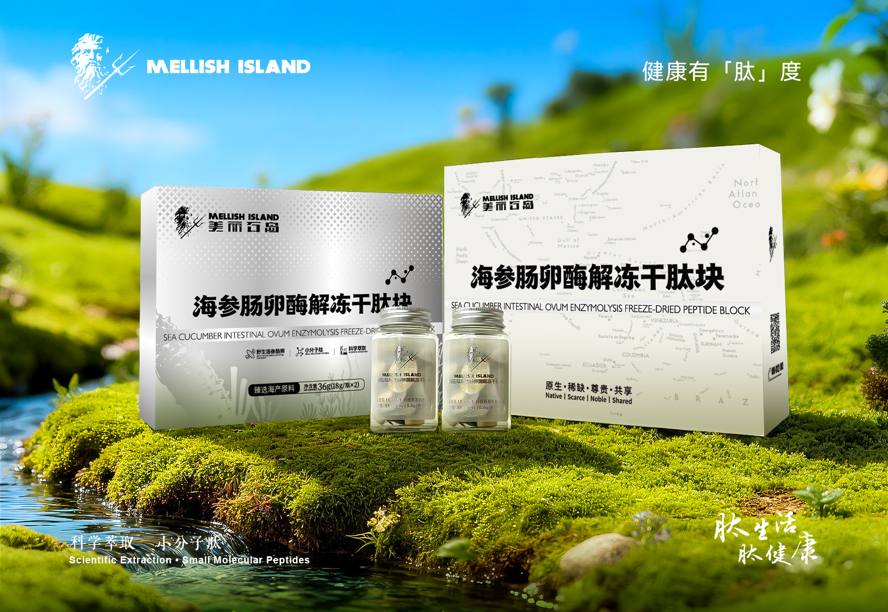 美丽石岛海参肠卵酶解冻干肽块