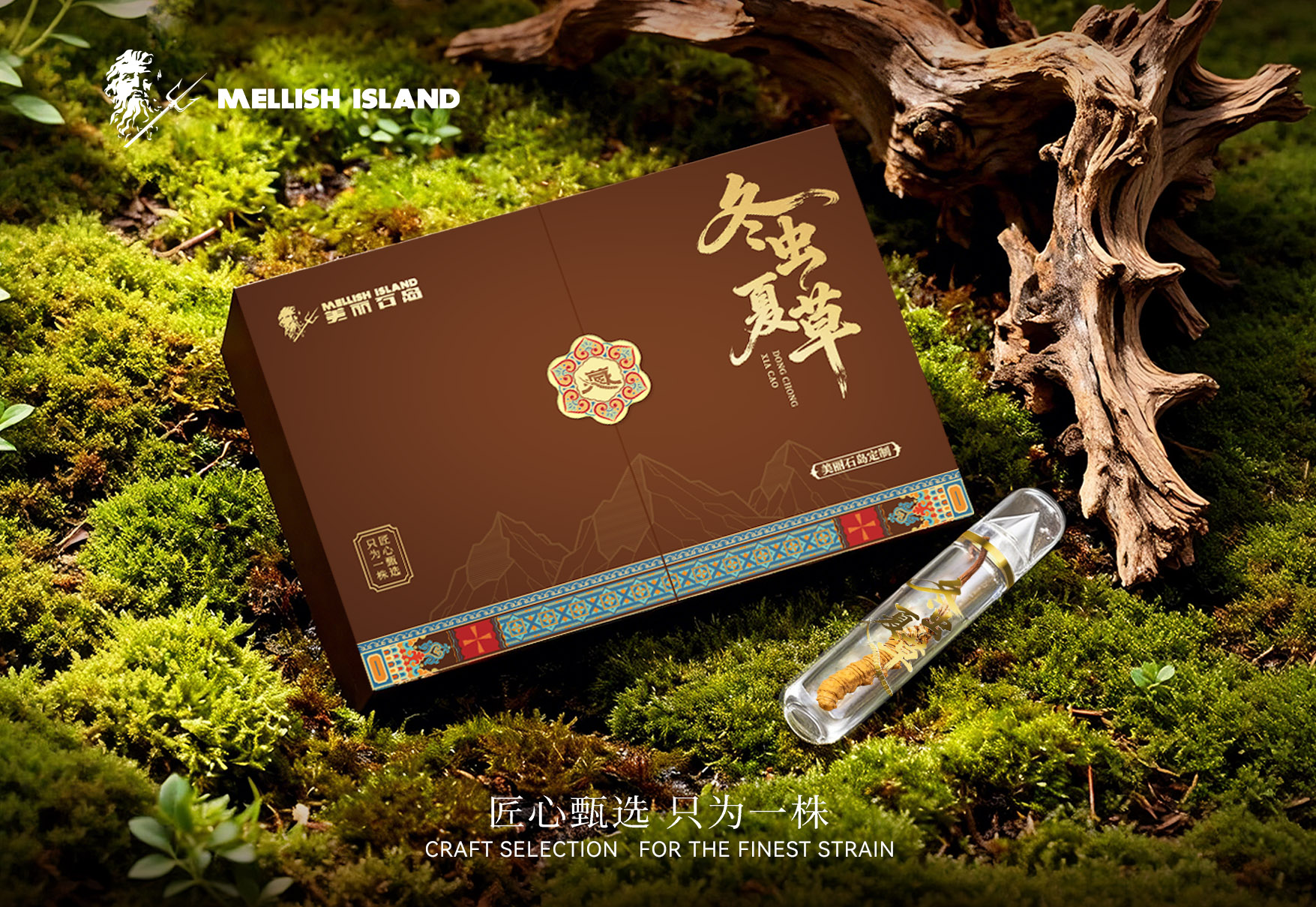 美丽石岛定制版冬虫夏草